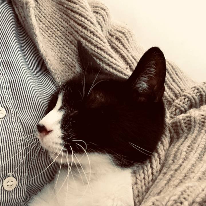 A7e13019 5dce 42bd b60a a6054f017d09 1550386530214