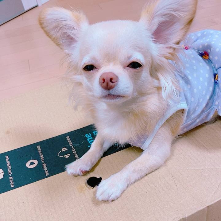 A7e13ac9 ad22 4e3e a948 ac32e97d3c84 1625883019992