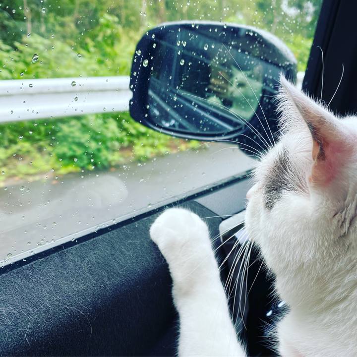 A7e13da8 f755 4965 8ac3 a794ea94b01a 1594997807606