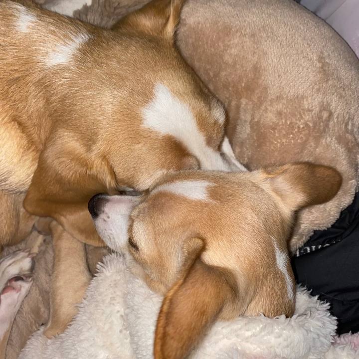 A7e19b9c 0c85 4bca 813f 143cd393a05c 1671376402770