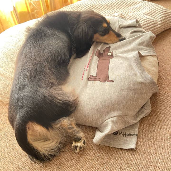 A7e201b5 27ec 4461 a9aa f2090b57374e 1763434096139