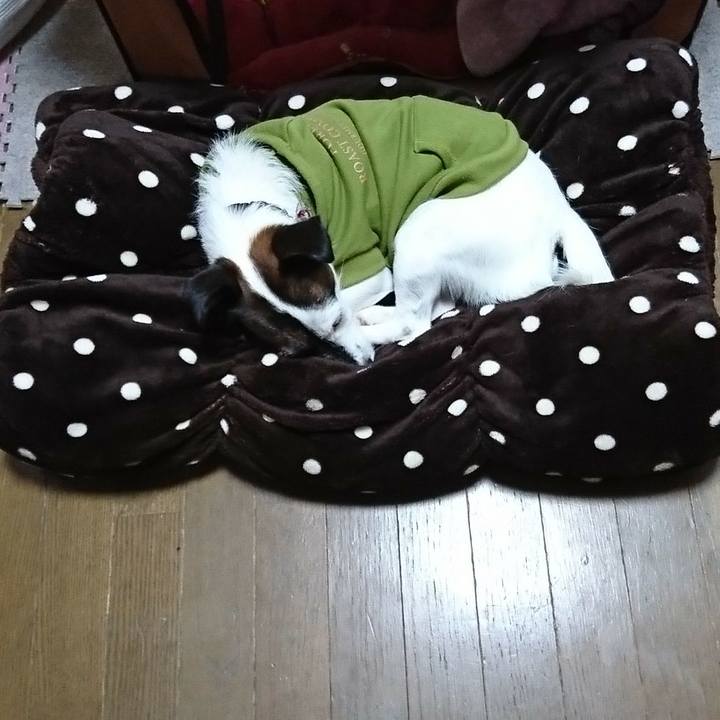 A7e2270b a6d2 42c5 9da7 325ffa6b835b 1508066065322