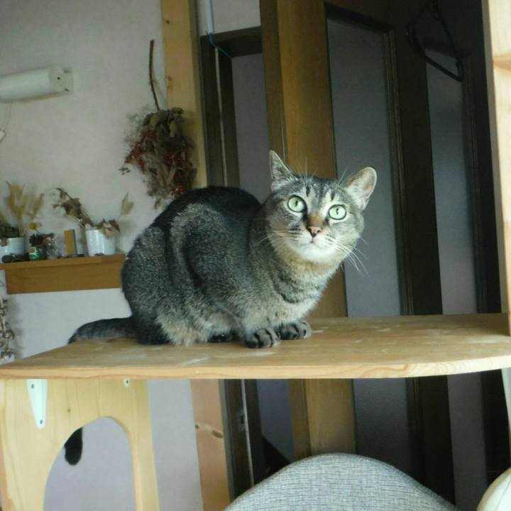 A7e229ad a1ee 4ace 9bc7 6883c7e88916 1564730472843