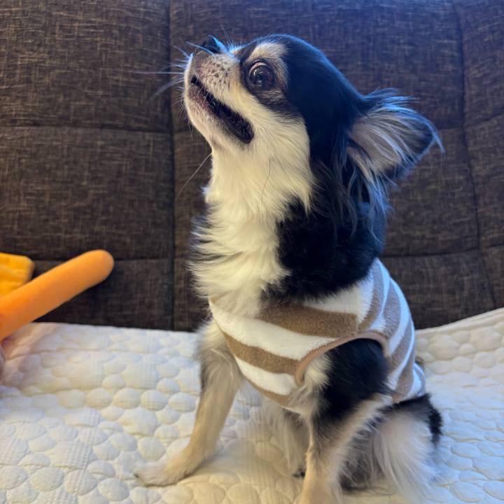 A7e23497 44ec 4913 a54e a21370ef3b93 1739722686205