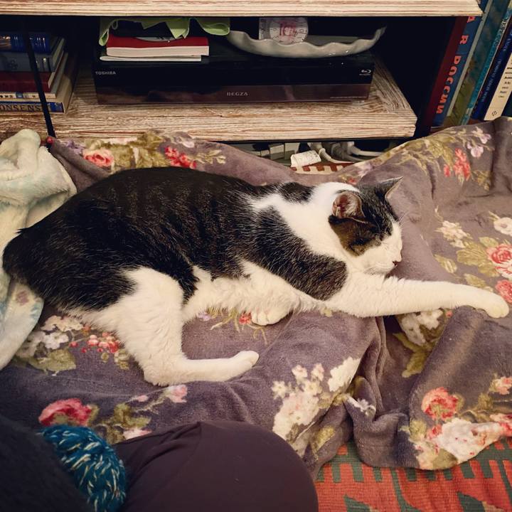 A7e249a3 12d9 4781 82b0 1276380a96f5 1608383853818