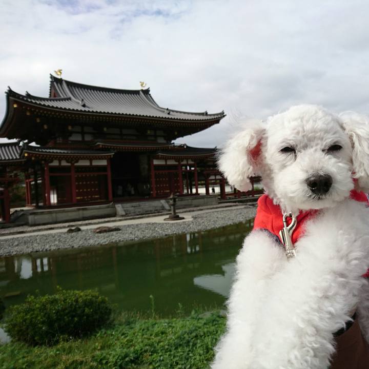 A7e2586b 02e1 4c78 b190 fc67ed680e9a 1541687918349