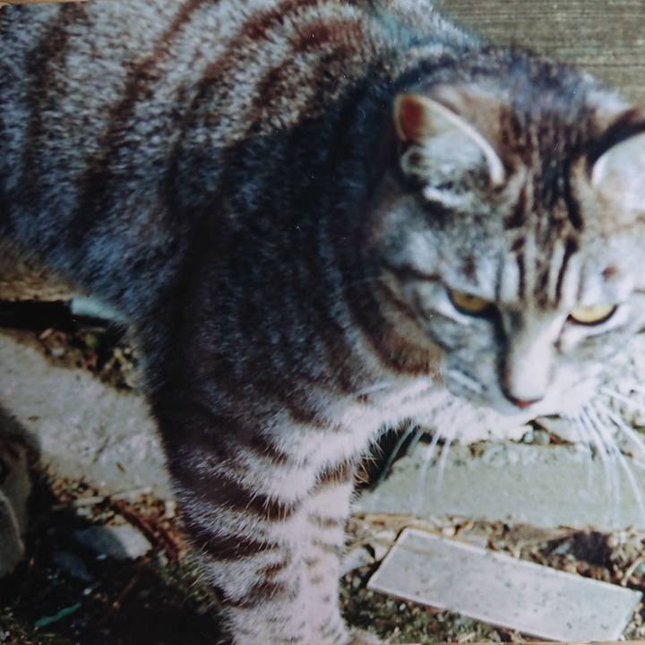 A7e27a9f 3467 436a a85a 9f3034e16820 1662076940660