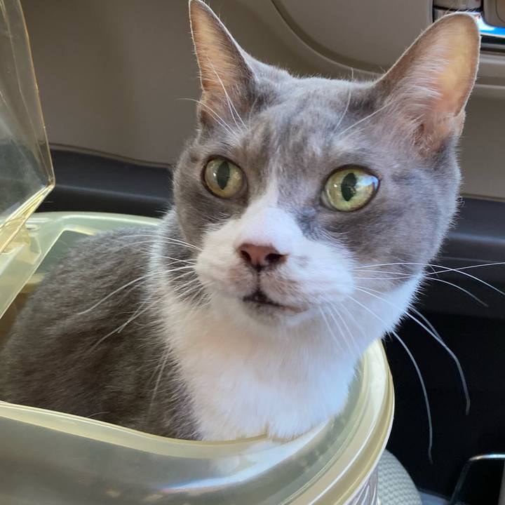 A7e28c8c da30 4fbb 92fc d468991e7f06 1743770524396