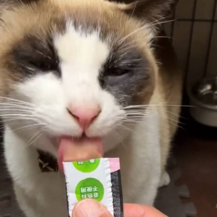 A7e2a3ab 08f4 407f 827a 7733a769be4f 1739792816807