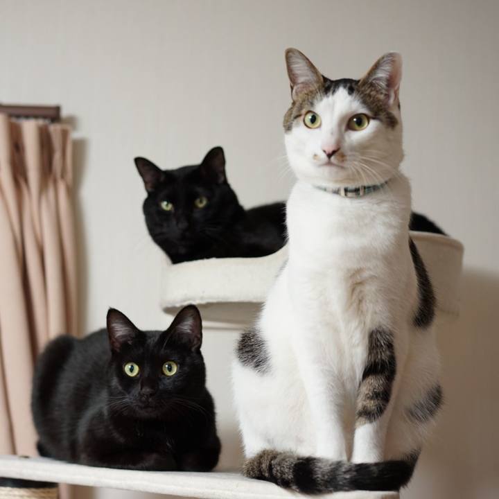 A7e2e827 cdc9 4ee5 9844 2e1d9c7d8c8c 1547509606366