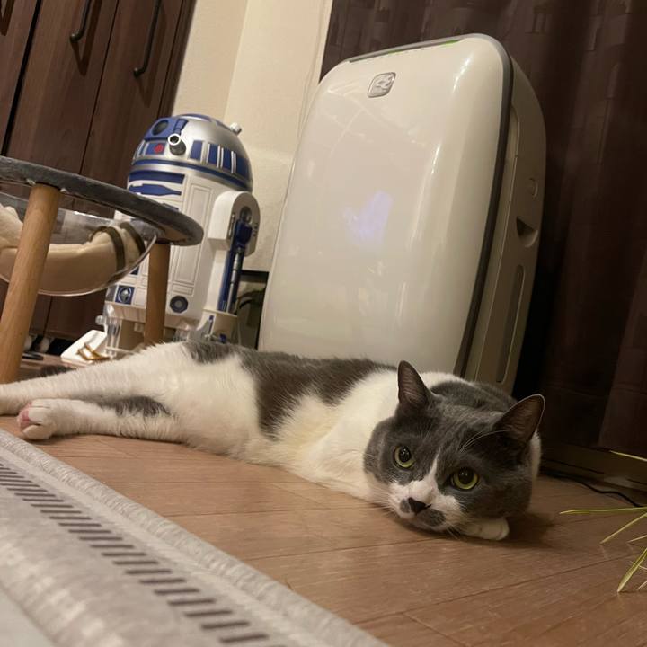 A7e2f715 29ea 47b3 9df5 c33e7c7df611 1757669611646