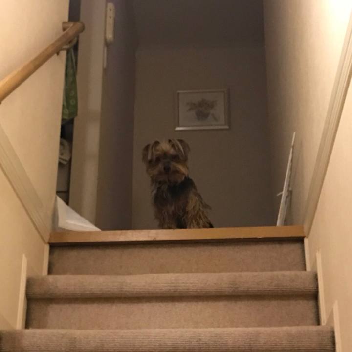 A7e32846 e4a6 48c4 92bb 30dd26fda3e5 1526463995758