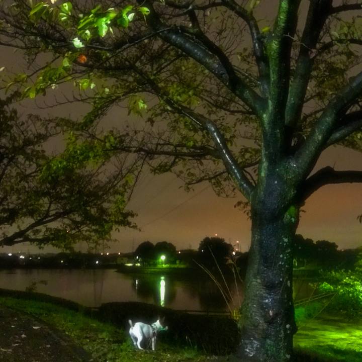 A7e35387 415a 4ba4 ae8f 39c8bb7ab7ca 1508645500709