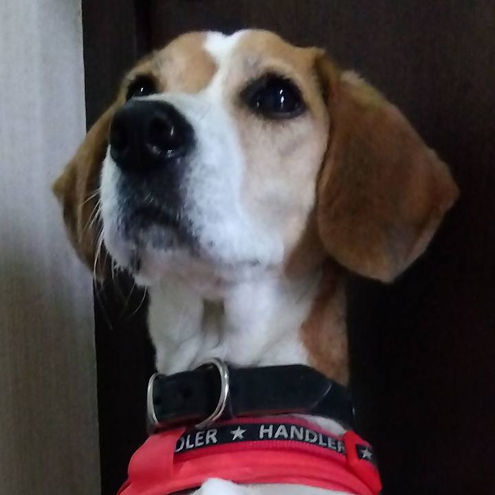 A7e3761f cb33 45b8 96cd bfc47a1b7309 1701766906933