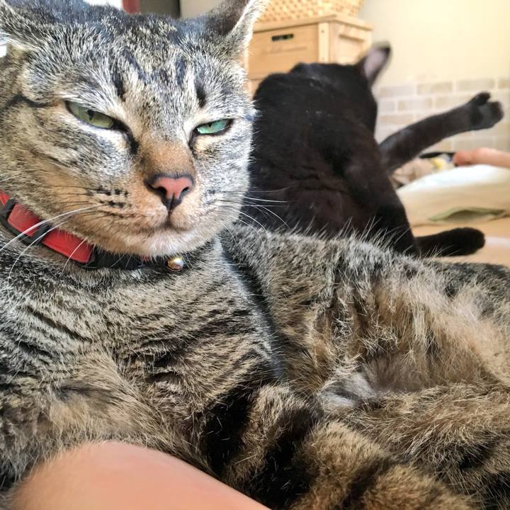 A7e3ca4b f8b2 479c be55 512d7ee51e02 1533955216894