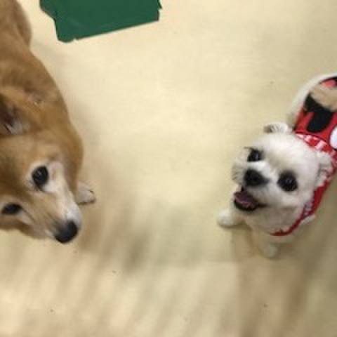 A7e3db14 a90c 42f5 ba0a 35b384d64df5 1508157478975