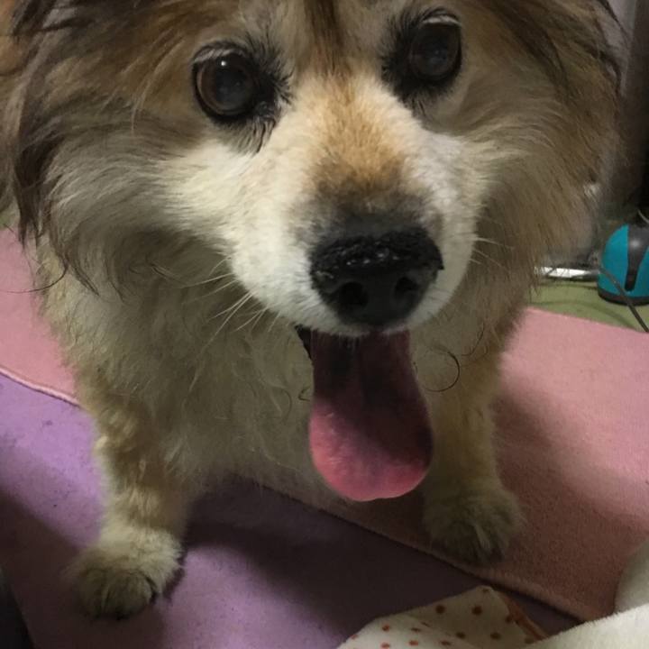 A7e416b7 c7c2 45c3 a86a 4baed9a762e0 1656539050378