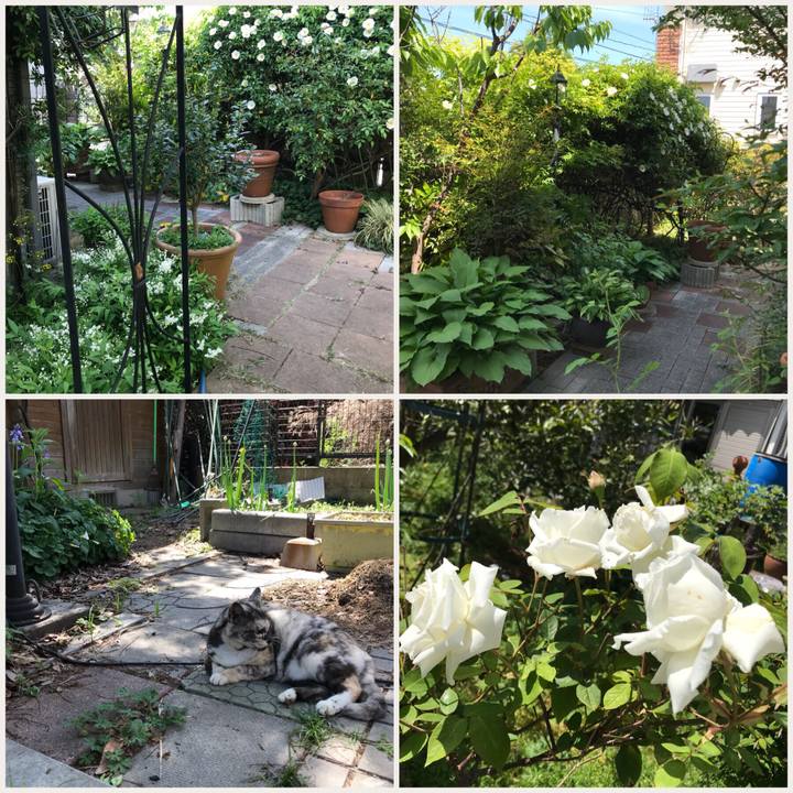 A7e46a77 3d74 40bc 8764 5a504ddaf1aa 1523595531084