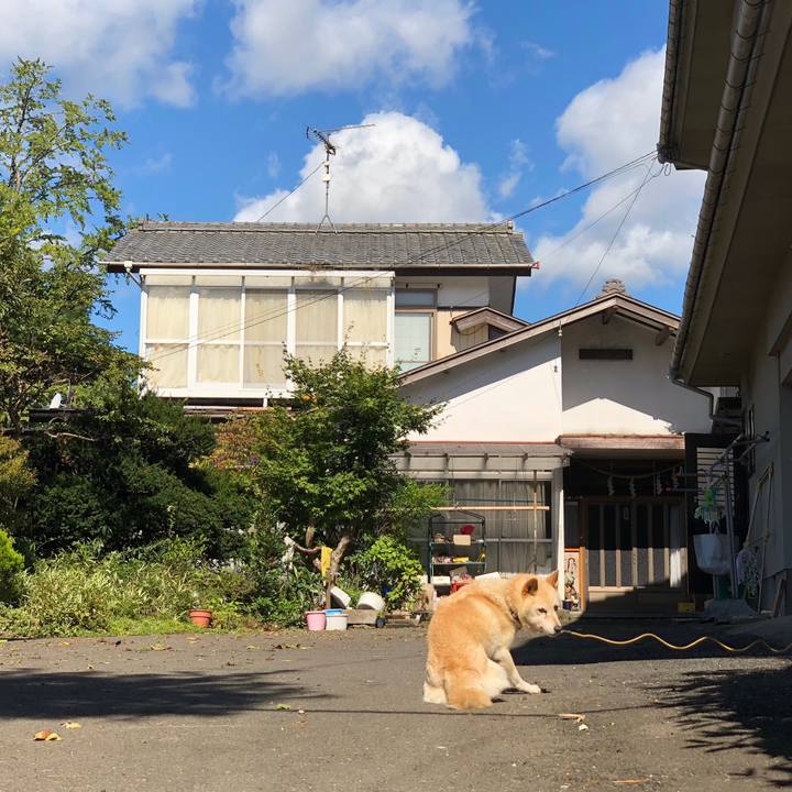 A7e46ee8 a9f4 42cf bf62 5f570e1d5bc3 1538356987486