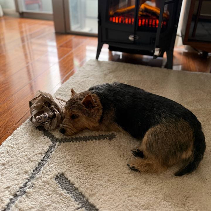 A7e47478 4d97 46d1 85c6 755321058102 1762409343686