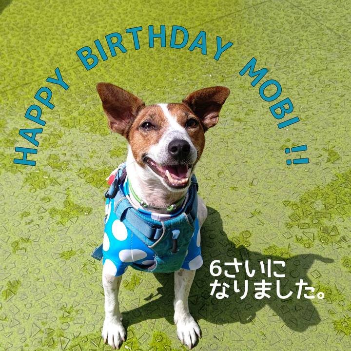 A7e475b7 1152 4575 8136 5906e6679ffb 1691042541992