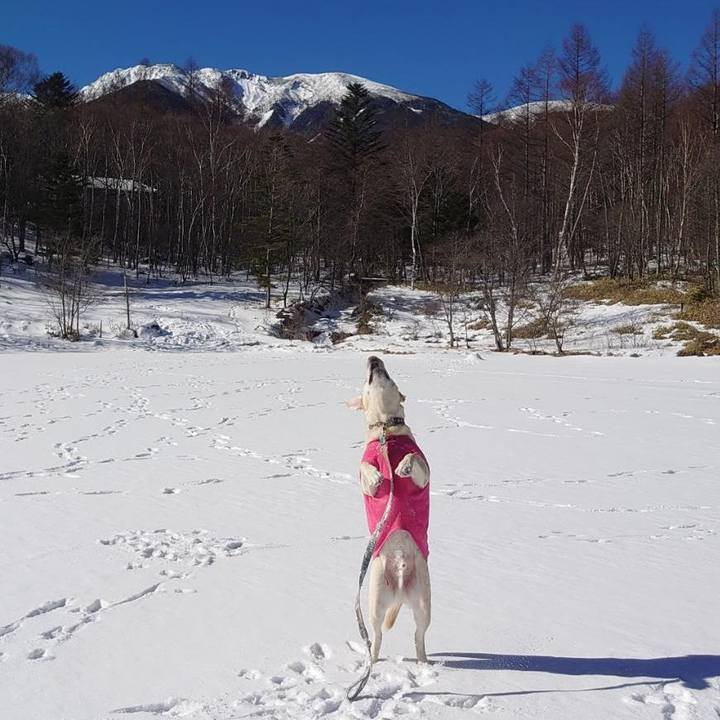 A7e48df4 61dc 4fb9 8095 2105f2c76673 1689505570425