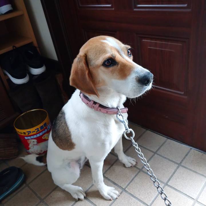 A7e49468 2370 43f0 b7f3 a5fec69116a5 1594705059676