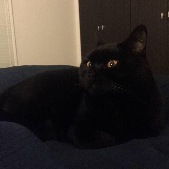 A7e49489 b9ae 44f6 8d26 56ae7f8ce9be 1548942030978