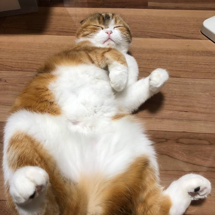 A7e495ca 5184 4202 8393 872a2d9ce84b 1586598151543