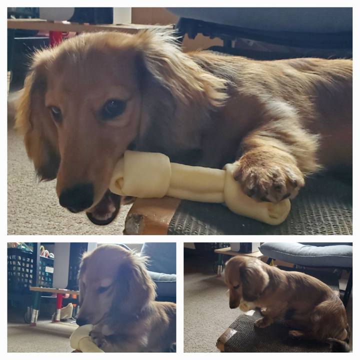 A7e49b1f c059 46c7 aef1 afe37fa7c918 1772945029781