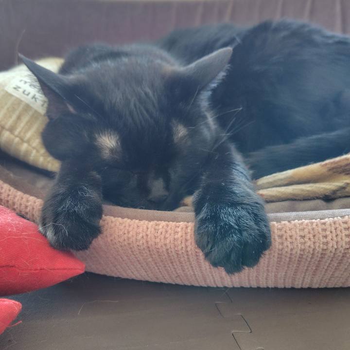 A7e4bfa7 16b0 489b 86c7 19c215b8d64b 1718160149809