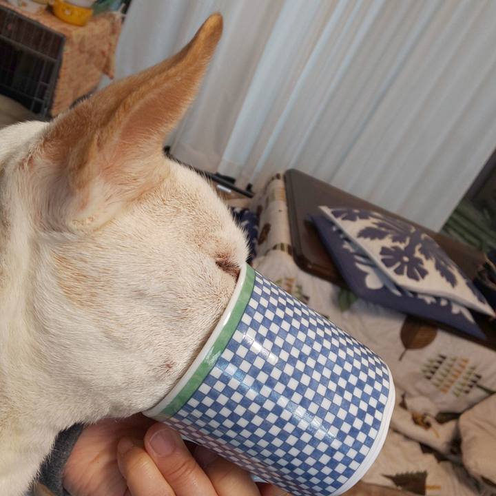 A7e4df1c 9c38 4467 8cad aee2b7f0226f 1543281379413