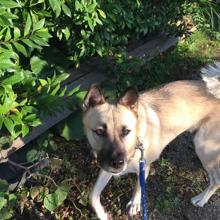 A7e51206 8ee8 419e bc3f 21321d541657 1509016019527