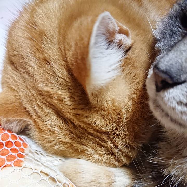 A7e57995 4ccc 487a 8977 46d62d970f74 1581338406092