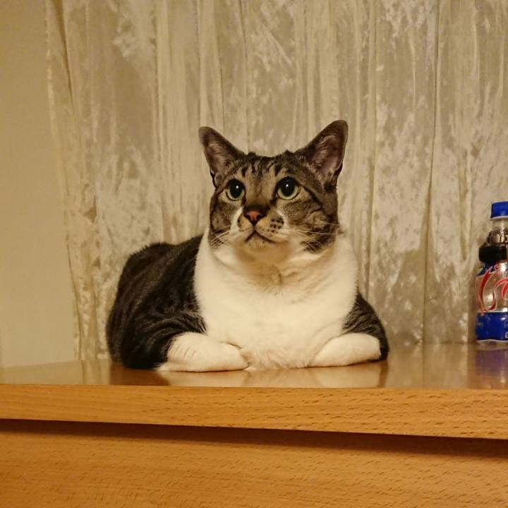 A7e594f5 d7ca 4b92 abc0 f4f64da2befc 1522588696008