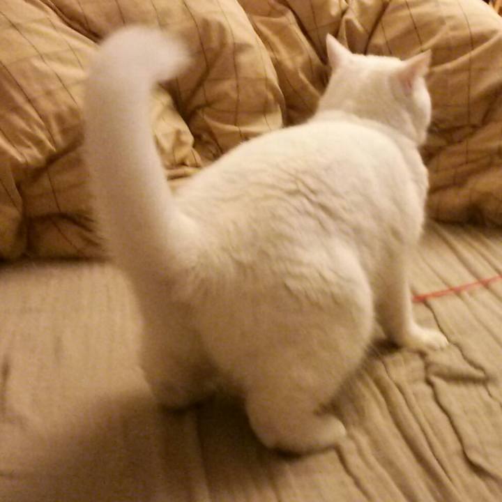 A7e5a039 4a96 4ff7 978f bb1dfb5aaf79 1509576568812