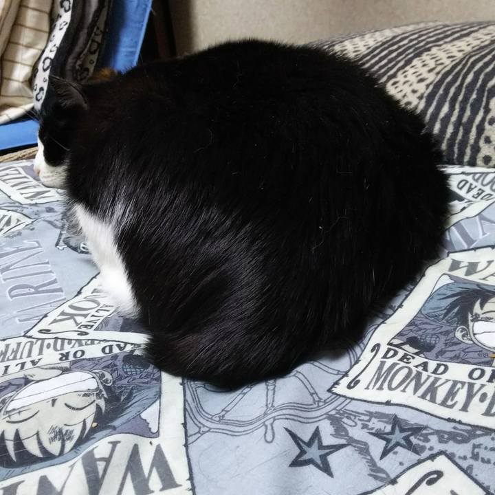 A7e5a1d3 73a7 48e6 acfb bb4bb445741f 1526847101626