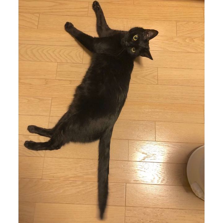 A7e5c085 535e 45b0 a981 9dfadcf03f01 1577195293454