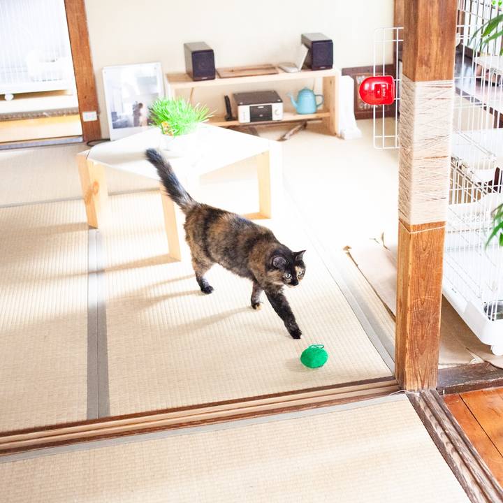 A7e5d8d4 5a0c 4131 a5b2 f1e88fcd5ed1 1574054754647