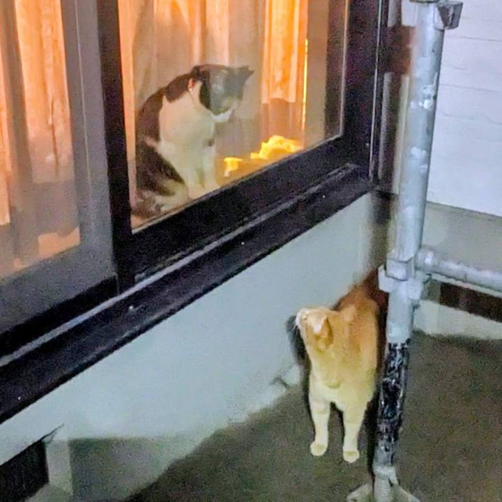 A7e5d914 bd2f 4f5a b99f 72510341fa92 1775303088378