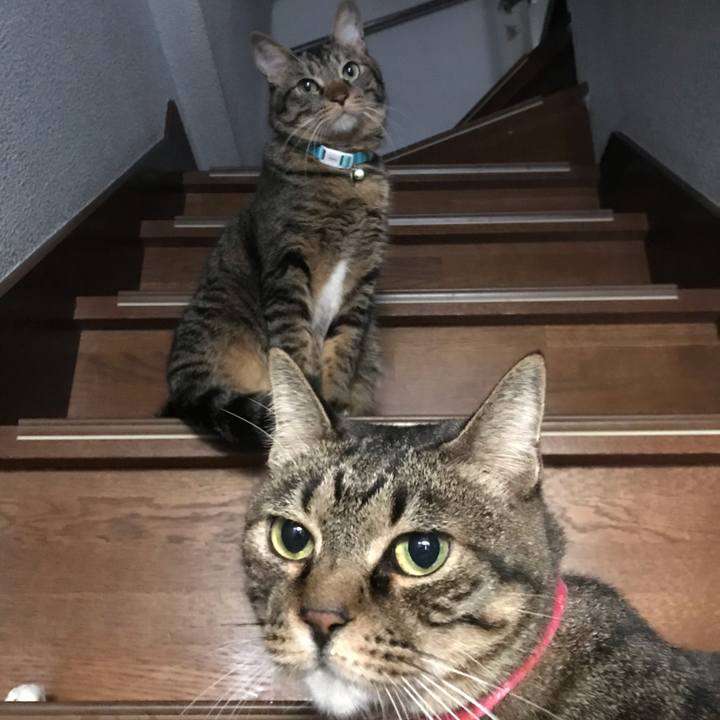 A7e61b1f 9d87 4058 8113 34db3f67d982 1542026114073