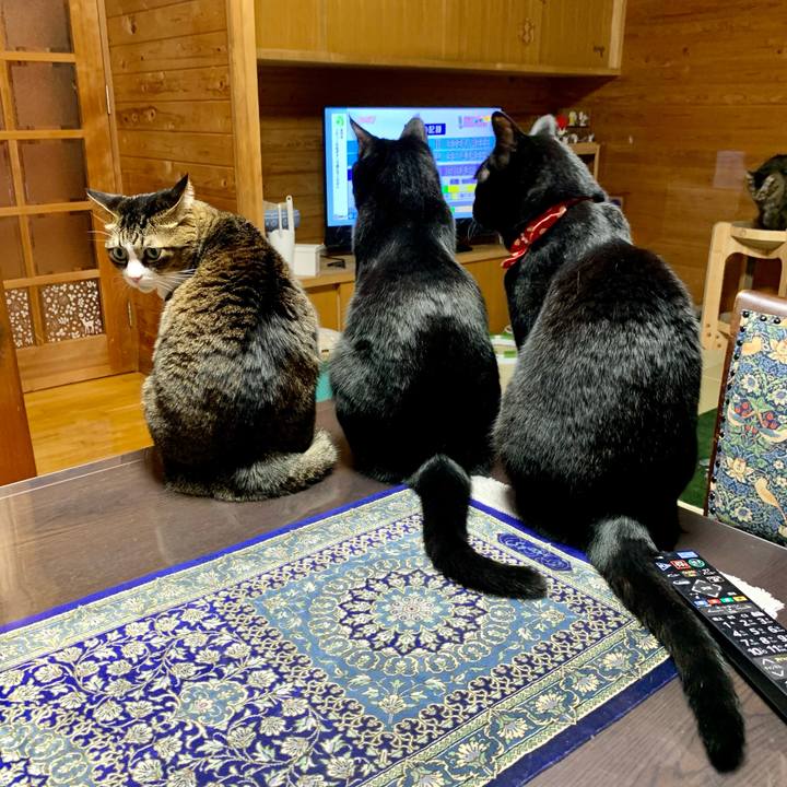 A7e649da db2b 4212 ac47 8d002493f7d4 1674036065055