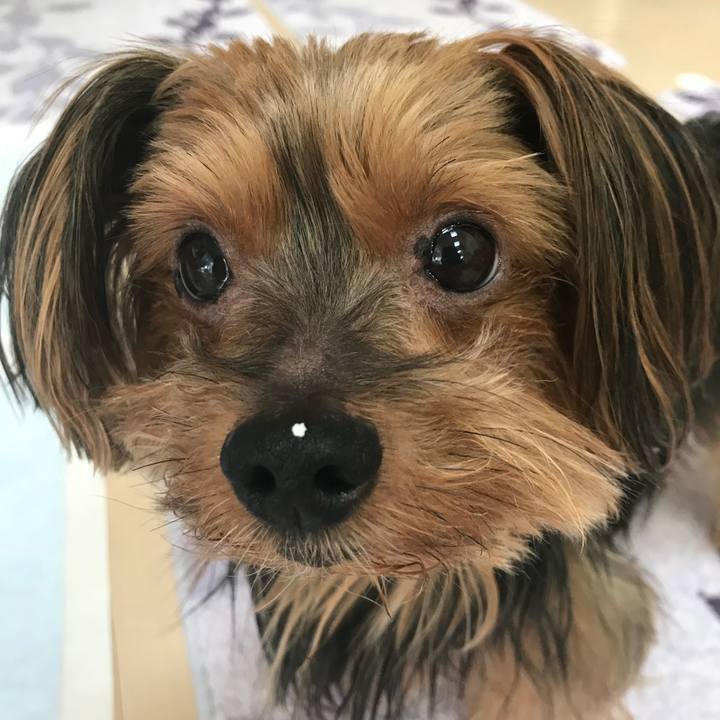 A7e65c95 9a7c 4540 96a7 96c2e0b237fa 1534935837642