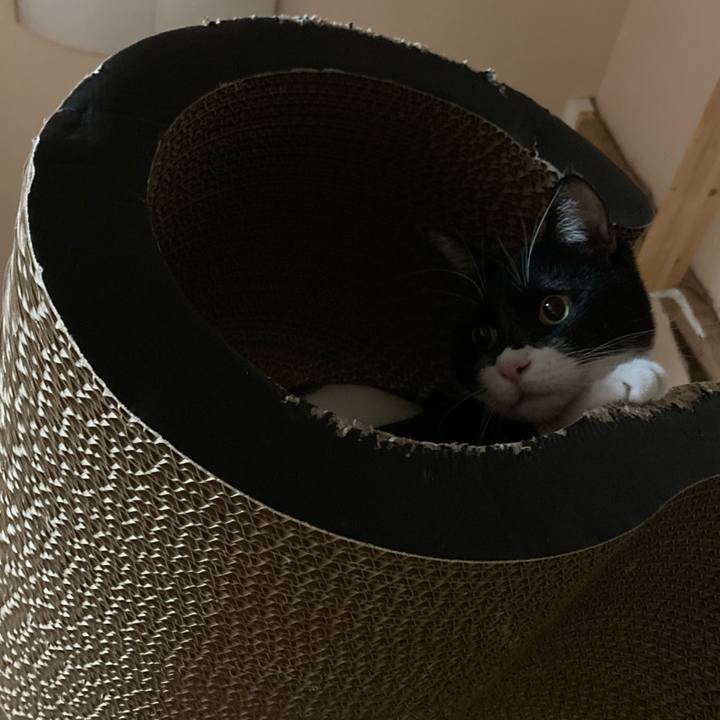 A7e66a3b 173a 4963 bd17 1e48bfe22c84 1619228036164