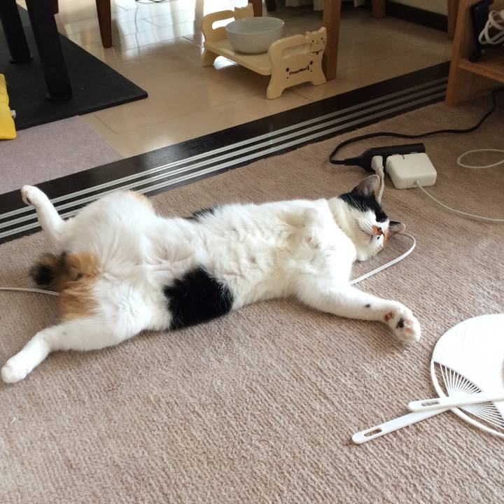 A7e66c57 4909 48f6 87a2 6fe2c46089e7 1532043743750