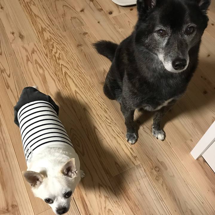 A7e6793e bc2c 4675 b5a8 24fe66aad9b4 1582106787134