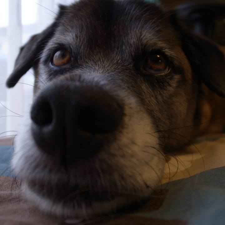 A7e6d1ec 41f8 483b 89d4 08adbeef1110 1593597645318