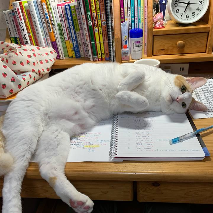 A7e6eddd b3bb 42d5 aca6 ae21c7c5f617 1635457622813