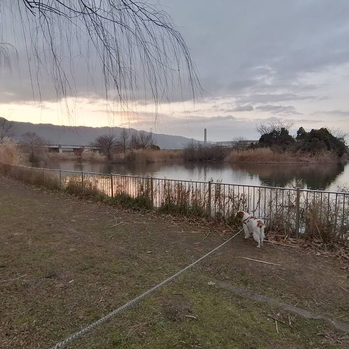 A7e71ec5 3714 4898 a73e 4022246a07ed 1579563335755