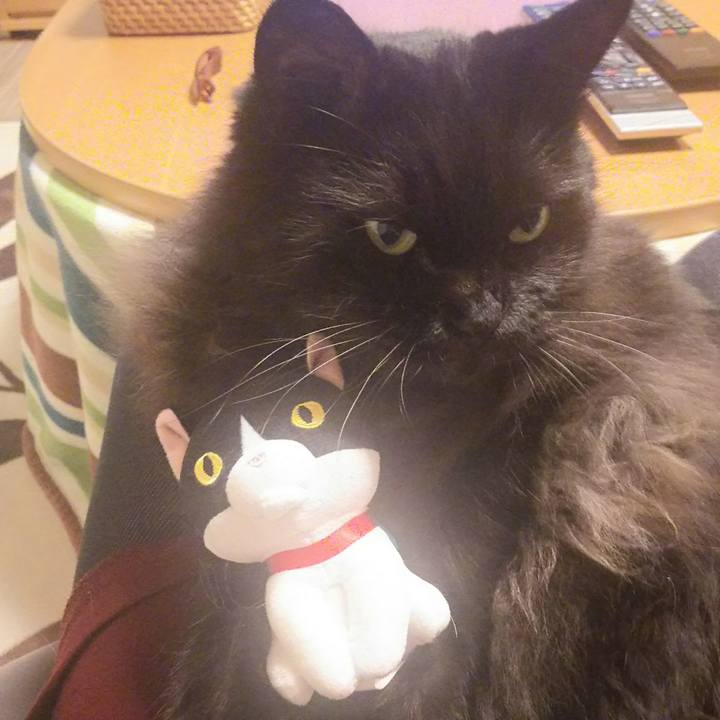 A7e72558 fa44 4986 ada1 bdd21ac0be16 1539421538446